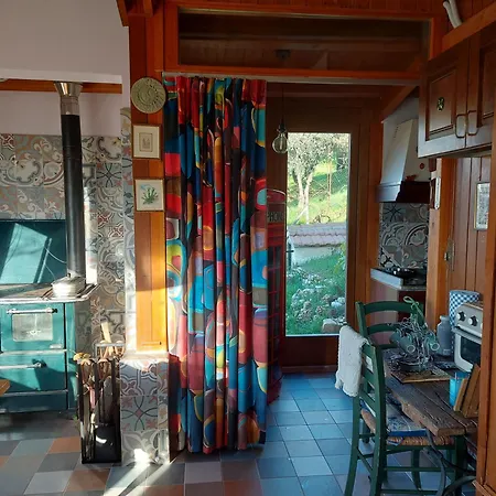 Elisa's House Oliveto (Lazio)