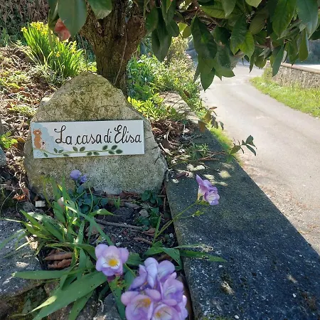 別荘 Elisa's House Oliveto (Lazio)