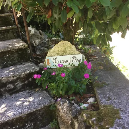 Elisa's House